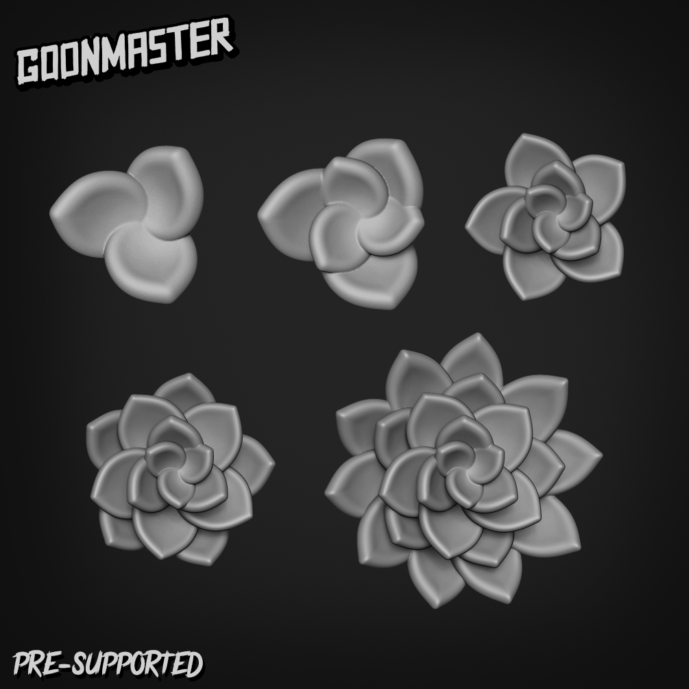 Lotus Flower and Petals