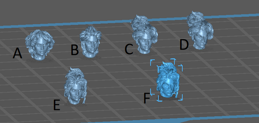 Female Heads 2