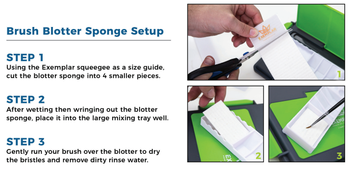 Brush Blotter Sponge